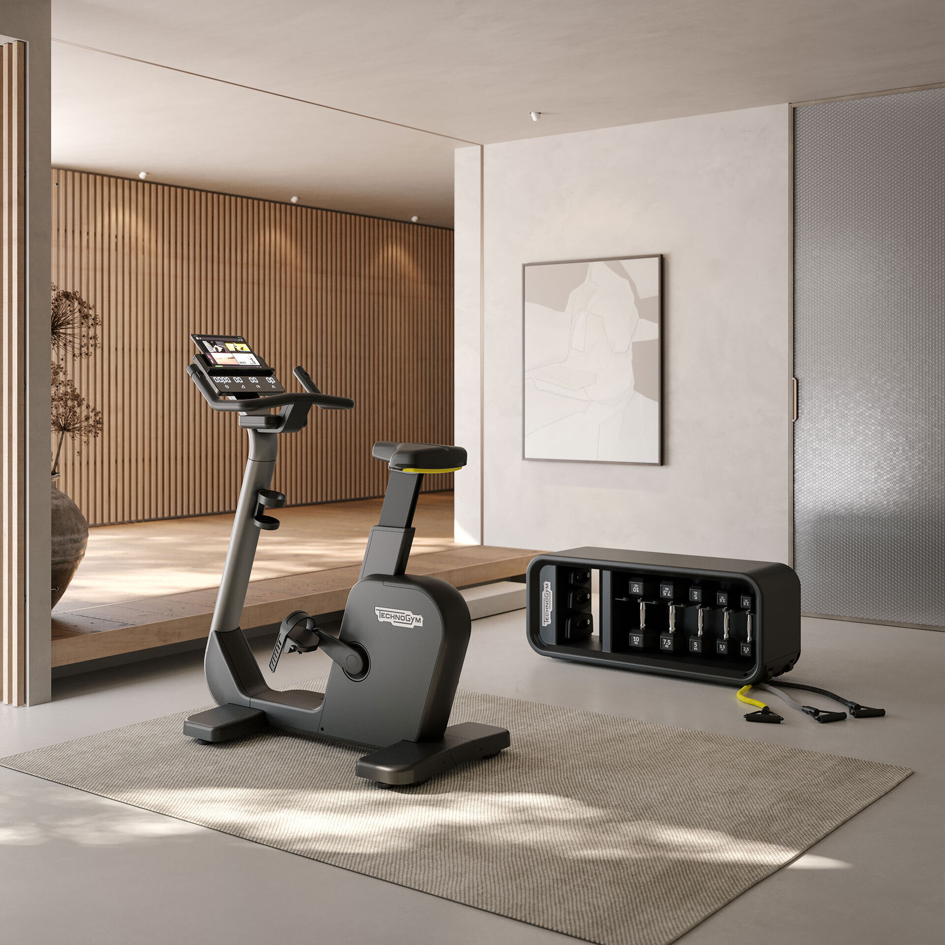 Technogym Cycle + Technogym Bench
